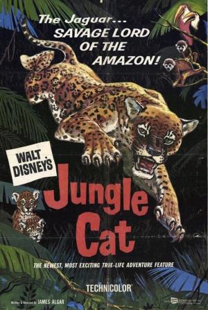 Jungle Cat 