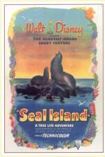 Seal Island 