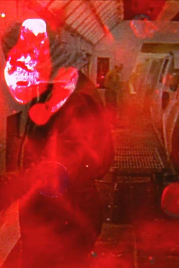 Diversion (C) (1980) FilmAffinity