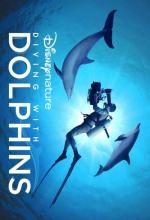 Nadando con delfines 