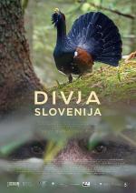 Wild Slovenia 