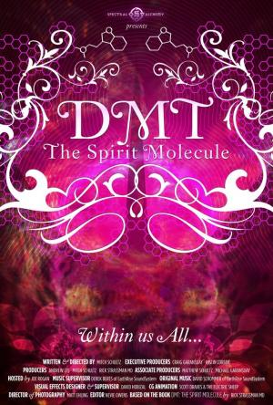 The Spirit Molecule 