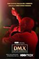 DMX: Don't Try to Understand 