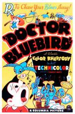 Doctor Bluebird (C)