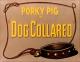 Porky: Dog Collared (C)