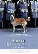 Dogs of Democracy 