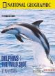 Dolphins: The Wild Side (TV)