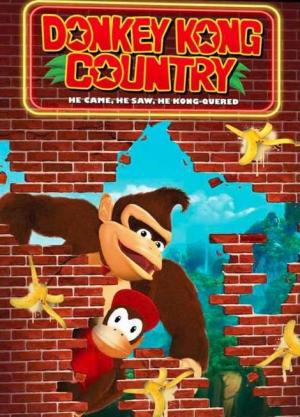 Donkey Kong Country (Serie de TV)