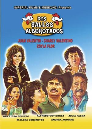 Dos gallos alborotados 