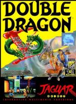 Double Dragon V: The Shadow Falls