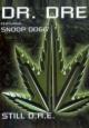 Dr. Dre Feat. Snoop Dogg: Still D.R.E. (Vídeo musical)