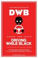 Driving While Black 