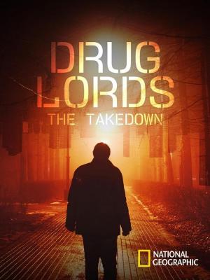 Drug Lords: The Takedown (TV Series)