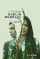 Dublin Murders (TV Series)