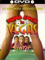 Dumb Luck in Vegas  - Poster / Imagen Principal