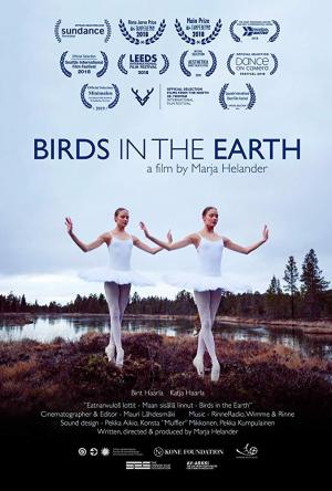 Birds in the Earth (C)