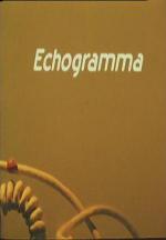 Echogram (C)