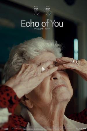 Lo que me queda de ti (Echo of You) 