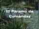 El páramo de Cumanday (TV) (C)