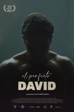 El perfecto David 