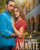 El precio de amarte (TV Series)