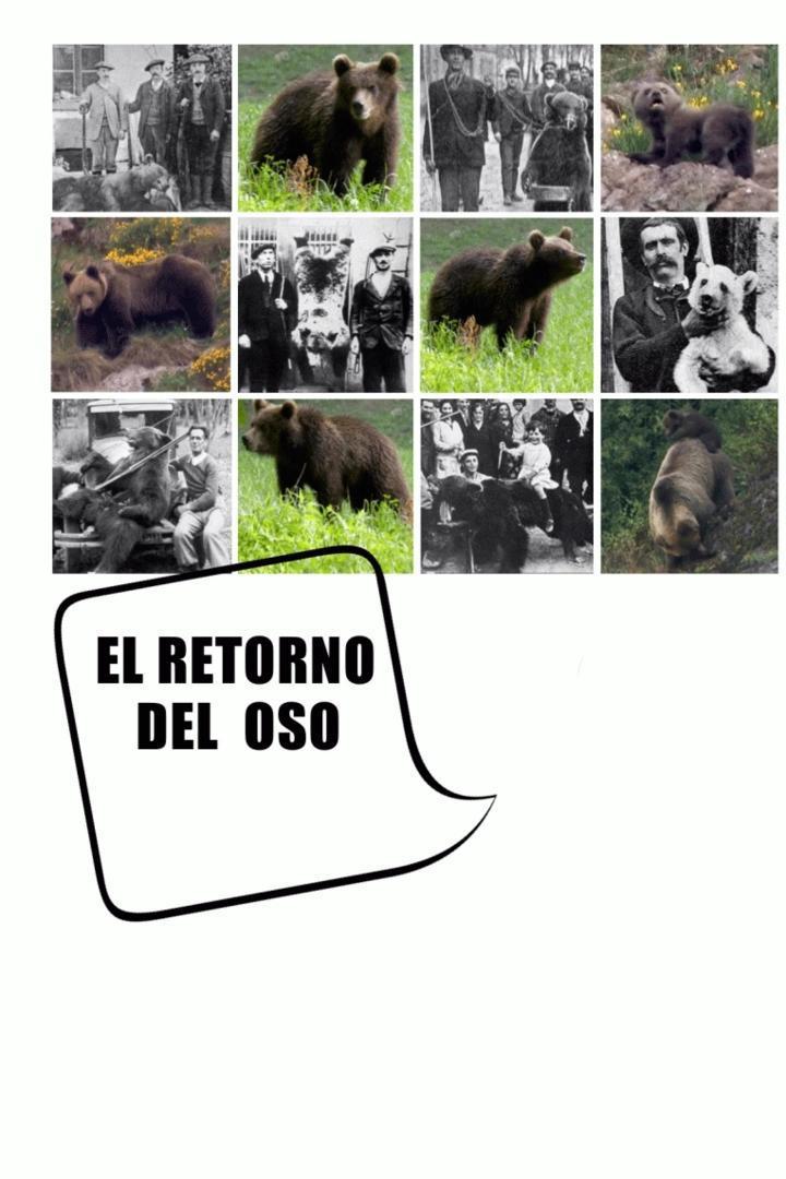 El retorno del oso 