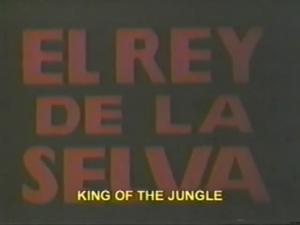 El rey de la selva (C)
