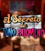 El secreto de Toño Palomino (Serie de TV)