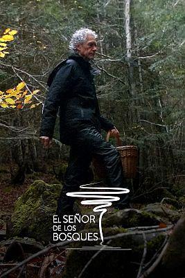El señor de los bosques (Serie de TV)