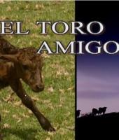 El toro amigo  - Poster / Imagen Principal