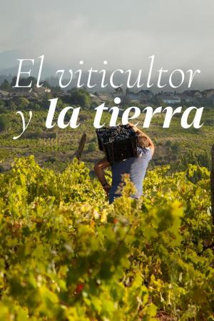 El viticultor y la tierra 