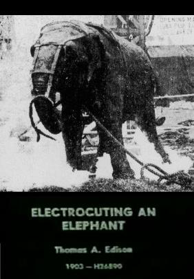 Ejecución de un elefante (C)