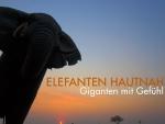 Elefanten hautnah (TV Miniseries)