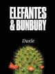 Elefantes & Bunbury: Duele (Vídeo musical)