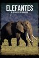 Elephants, the Twilight of the Giants (TV)