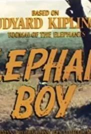 El muchacho y el elefante (Serie de TV)