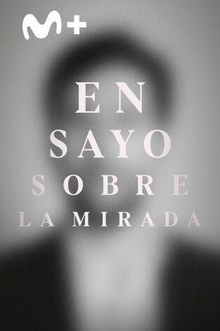 Ensayo sobre la mirada