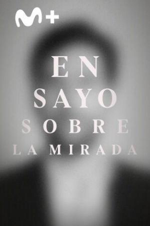 Ensayo sobre la mirada