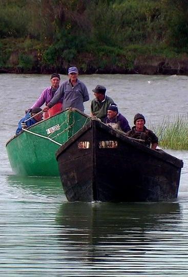 Esturión de vuelta 