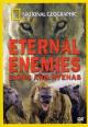 Eternal Enemies: Lions and Hyenas 