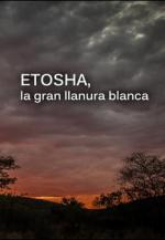 Etosha, la gran llanura blanca 