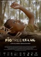 Fig Tree  - Poster / Main Image