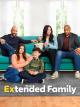 Extended Family (TV Series)