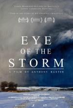 El ojo de la tormenta 