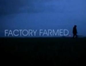 Factory Farmed (S)
