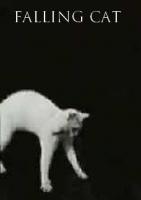 Falling Cat (C) - Poster / Imagen Principal