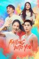 Falling Into You (TV Series)