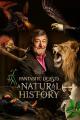 Animales fantásticos: Una historia natural (TV)