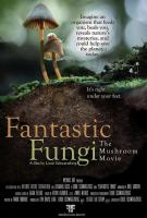 Fantastic Fungi  - Poster / Main Image