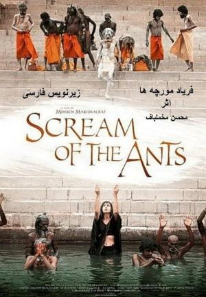 Scream of the Ants 